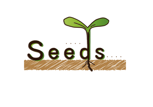 株式会社seeds